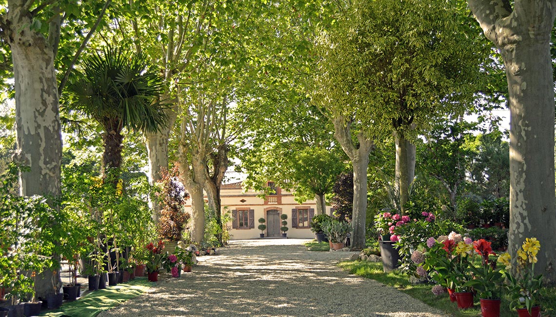 Les réalisations en entretien d'espaces verts à Toulouse & Lévignac